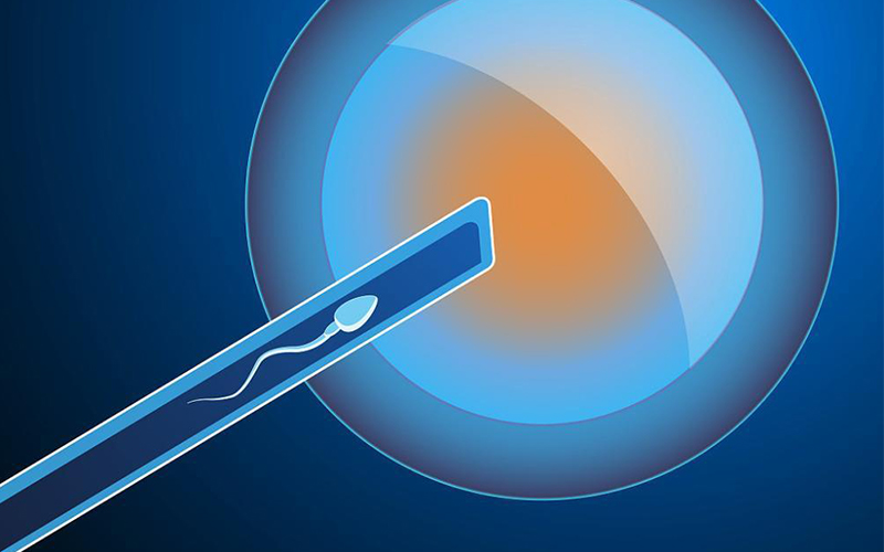 上海添一代怀孕