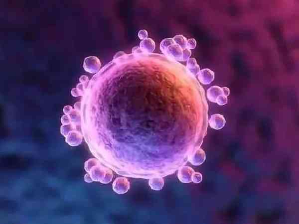 上海世纪专业代怀孕