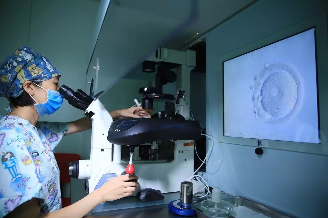 上海世纪代怀孕套餐