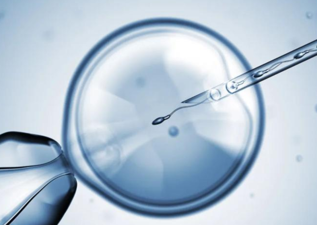 上海专业代怀孕机构