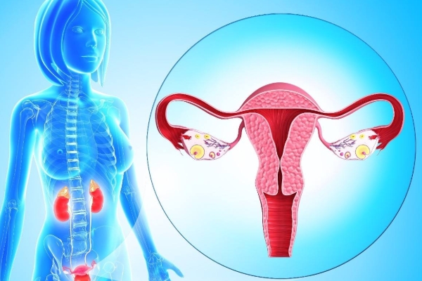 上海代孕中介诈骗