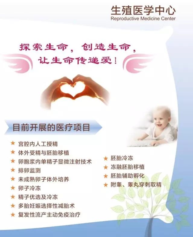 上海添一代怀孕