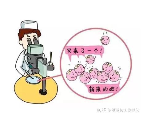 上海喜临门代孕