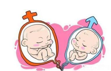 上海添一代怀孕