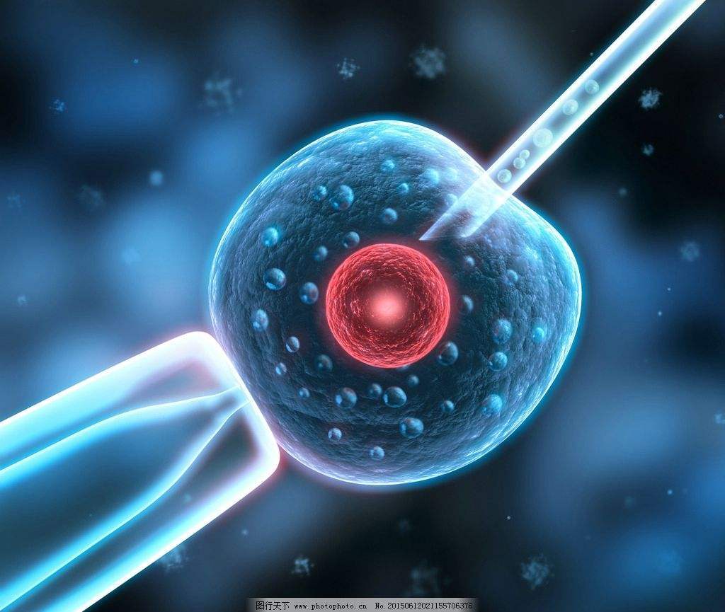 上海找代怀孕价格低