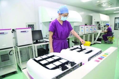 上海添一代怀孕