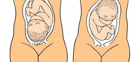 上海世纪代怀孕