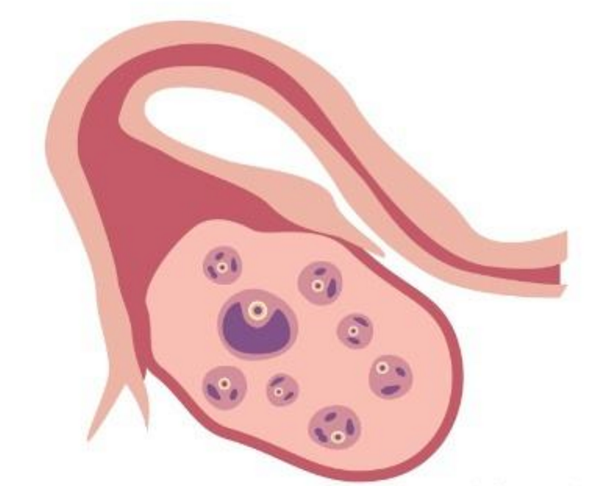 上海代怀孕招聘