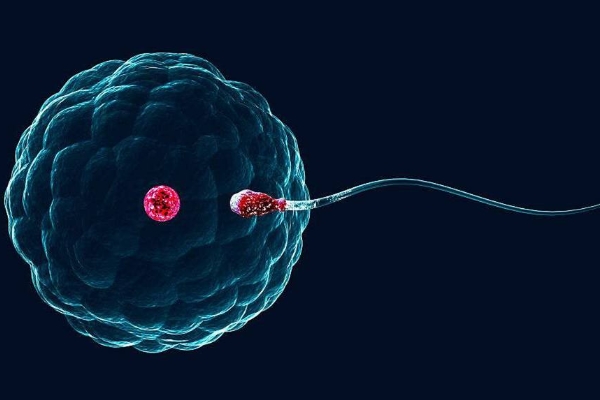 上海世纪代怀孕