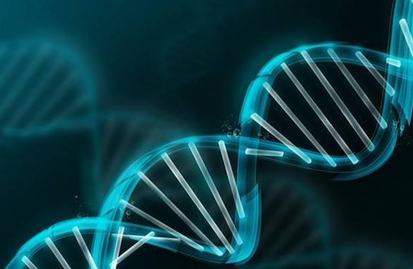 上海东南亚第三方助孕