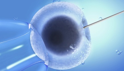 上海世纪代怀孕包成功