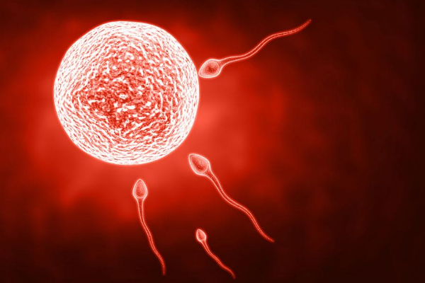 上海世纪代怀孕试管