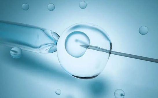 上海世纪代怀孕