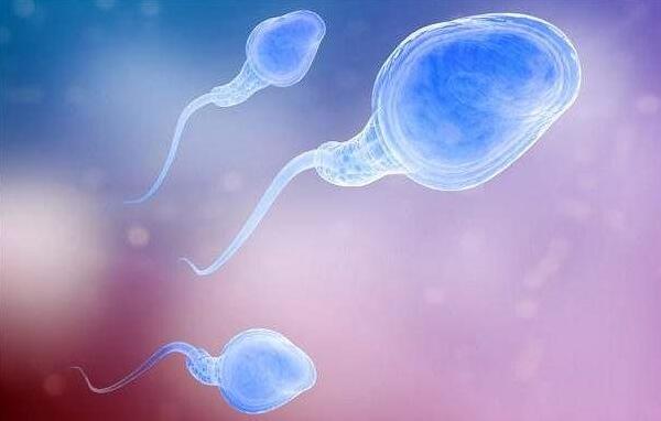 上海代孕包男孩公司