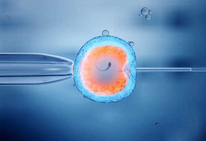 上海世纪代怀孕