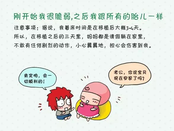 上海世纪代怀孕包成功