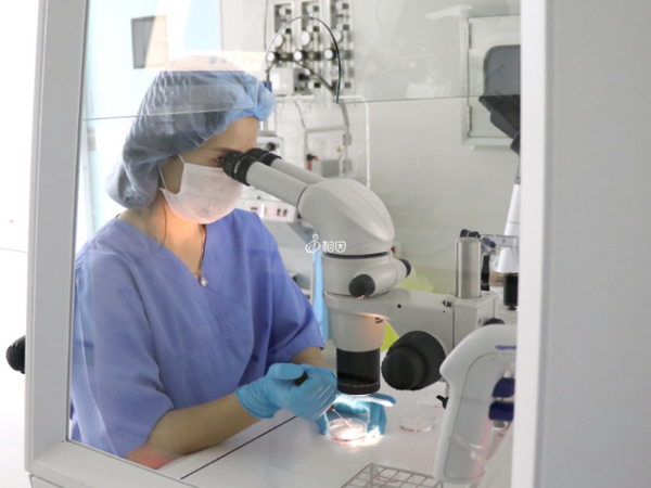 上海世纪助孕招代怀孕