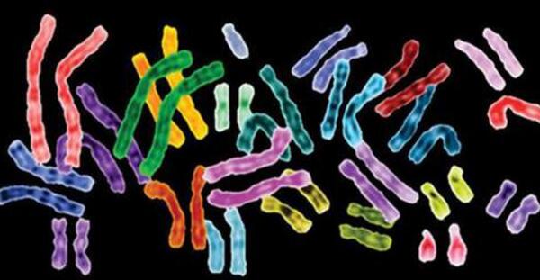 上海代怀孕机构