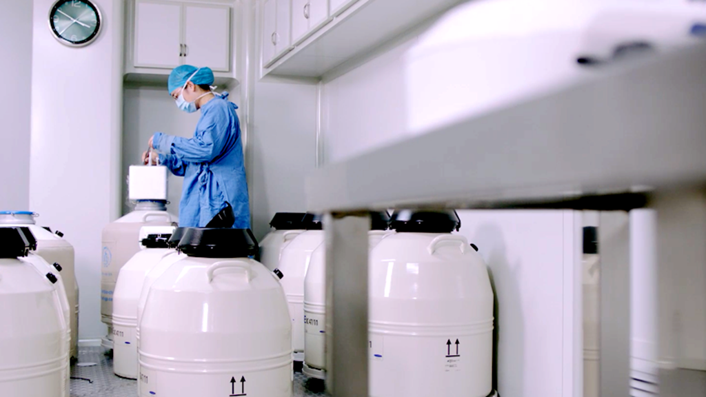 第三代试管婴儿