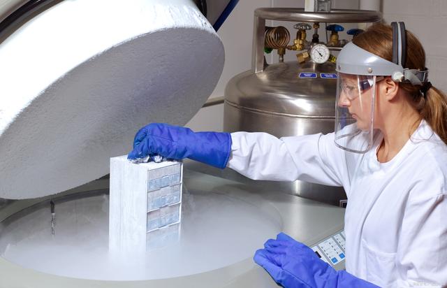 上海专业代怀孕机构