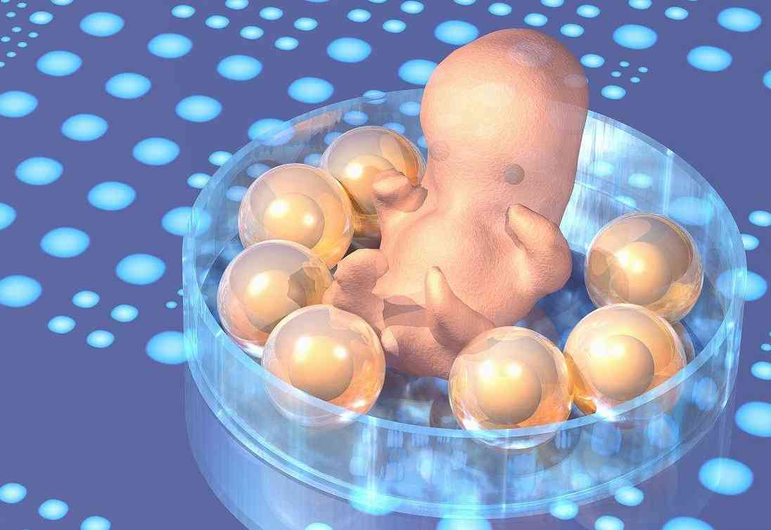 上海世纪代怀孕