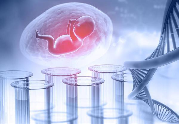 上海代孕龙凤胎