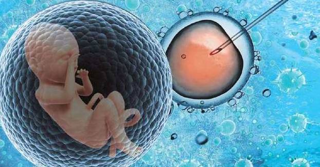 上海代怀孕最权威