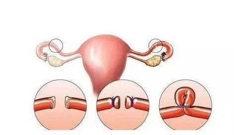 上海代怀孕价钱