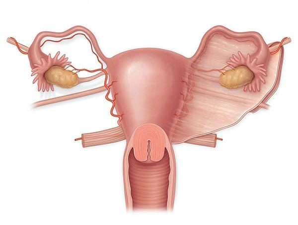 上海世纪代怀孕
